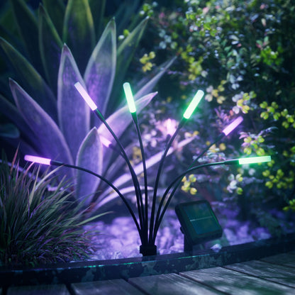 Solar Garden Lights (2 Pack)