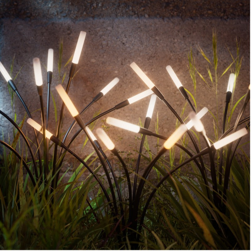 Solar Garden Lights (2 Pack)